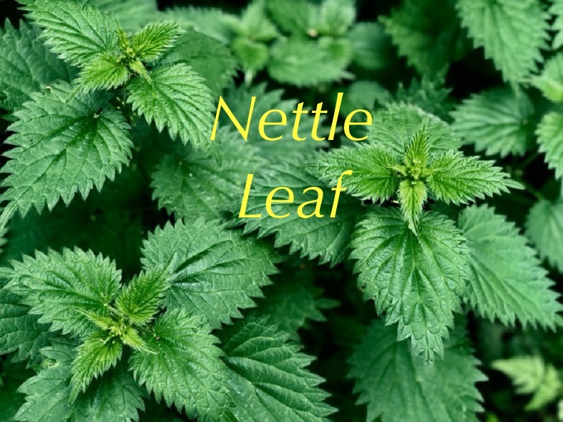 Steam rising from a cup of herbal tea