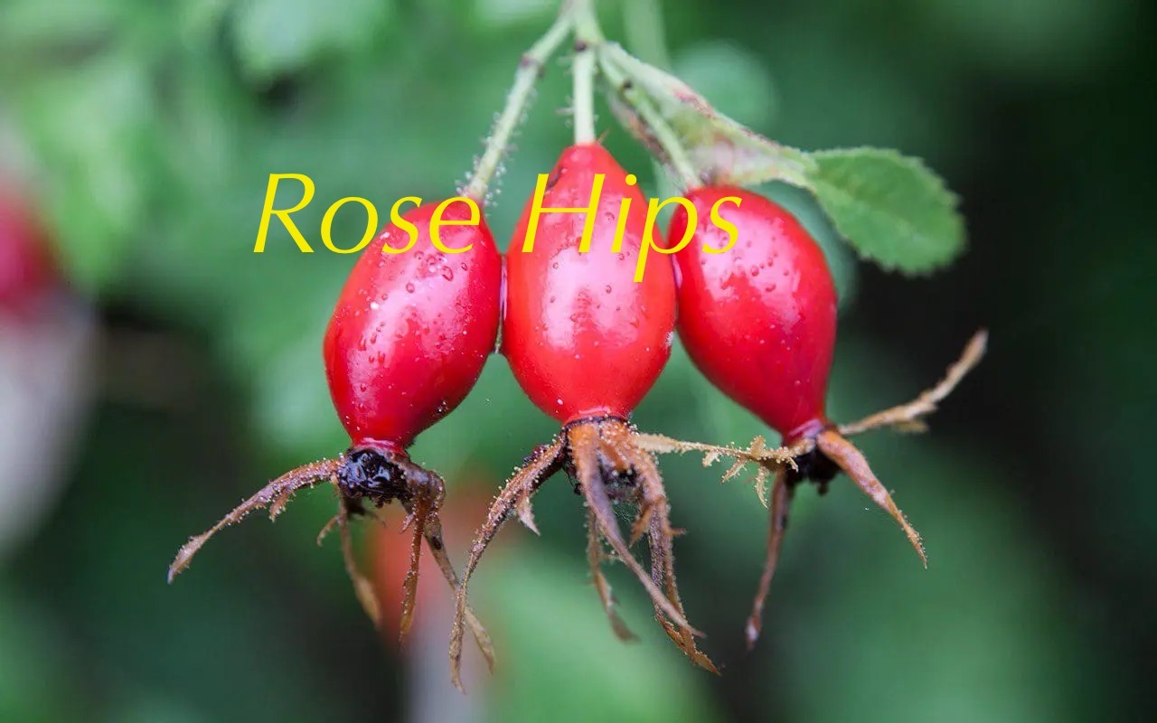 Steam rising from a cup of herbal tea
