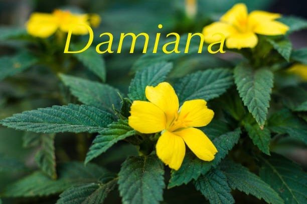 Steam rising from a cup of herbal tea